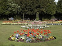 flower bed